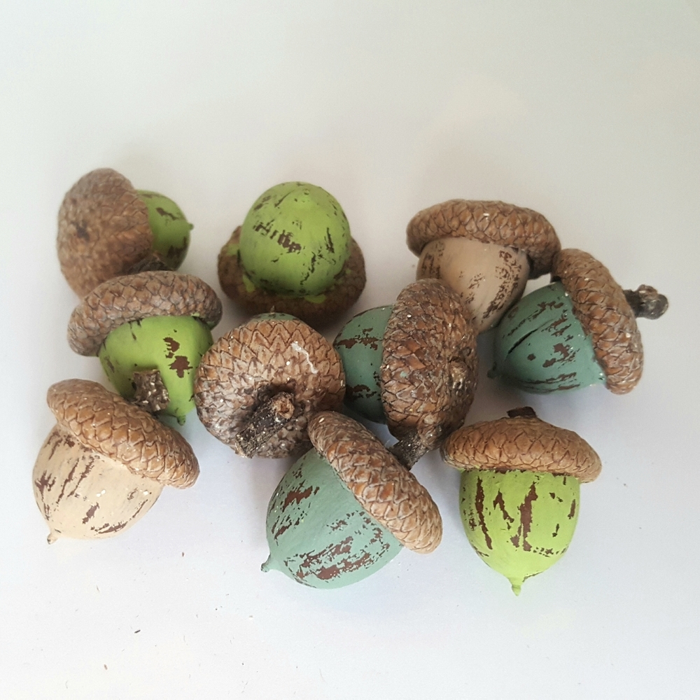 10 New Hand Painted Acorns